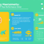Unlocking the Truth: How to Effectively Review Your ISP Performance for Optimal Internet Speed and Reliability